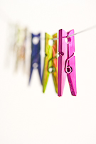 still life collection